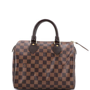 Louis Vuitton Speedy Handbag Damier 25 #245161L15B